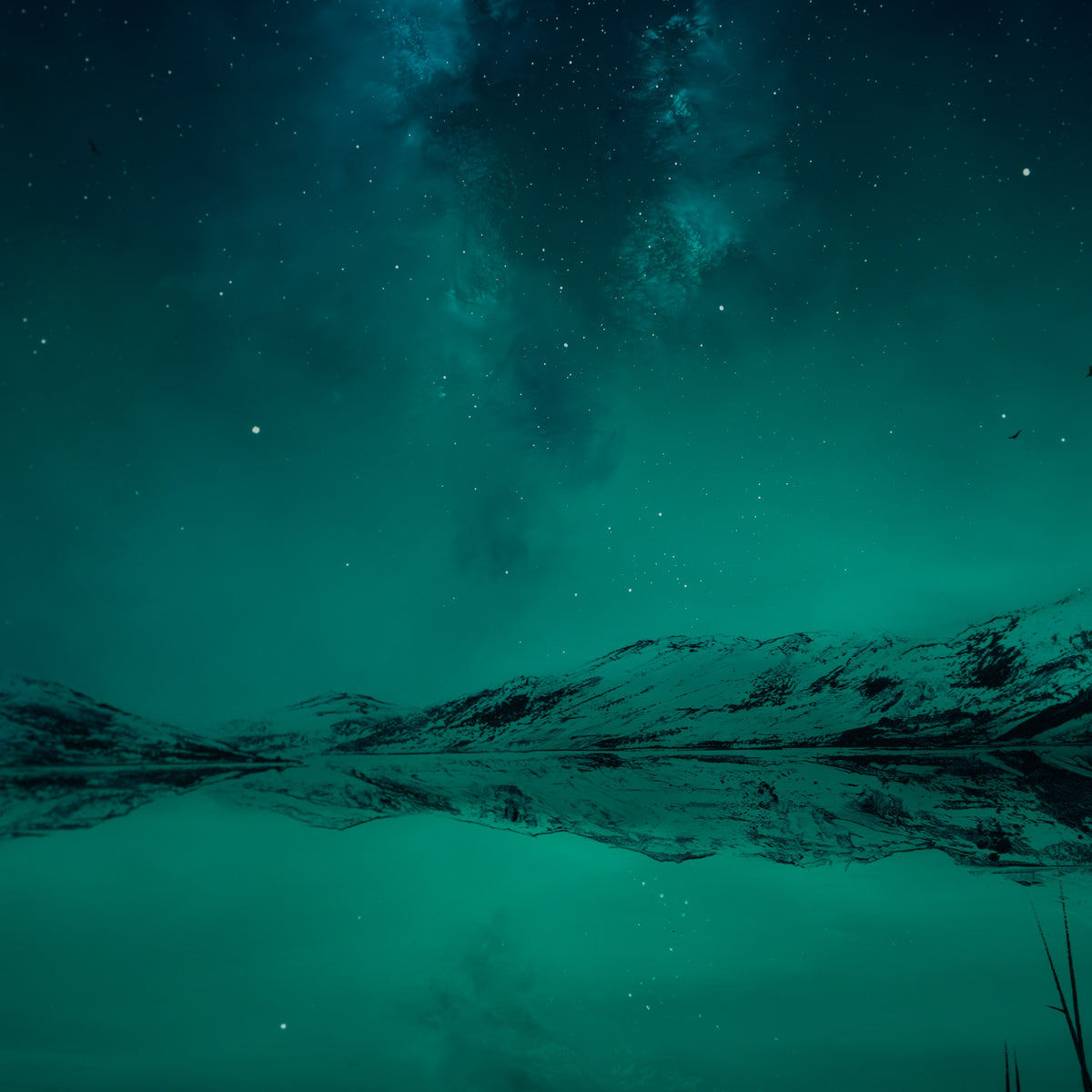 RRO ORI UNI 35976 A Tale To Be Told VI 5 