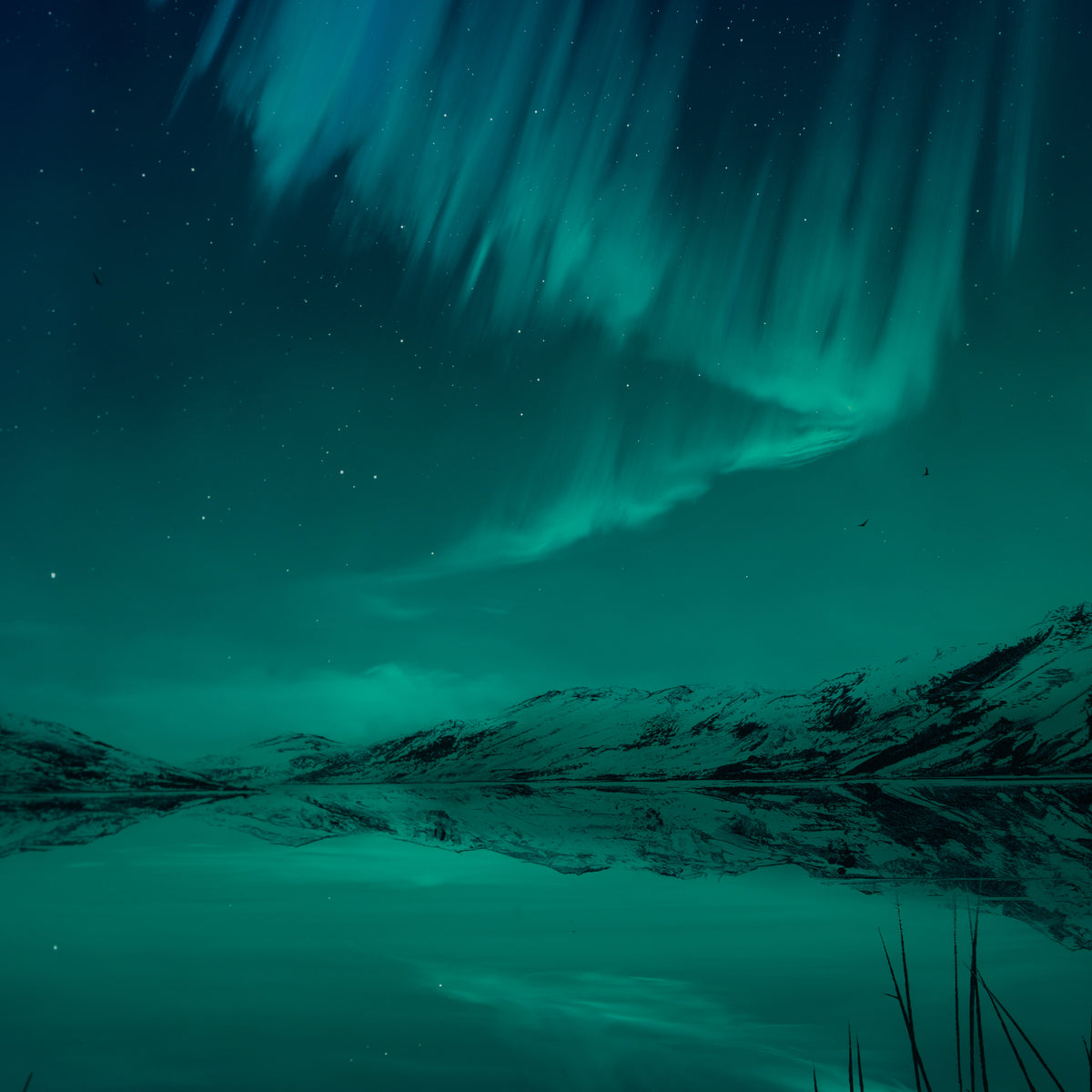 Product image 3 for richard-rowan-a-tale-to-be-told-x