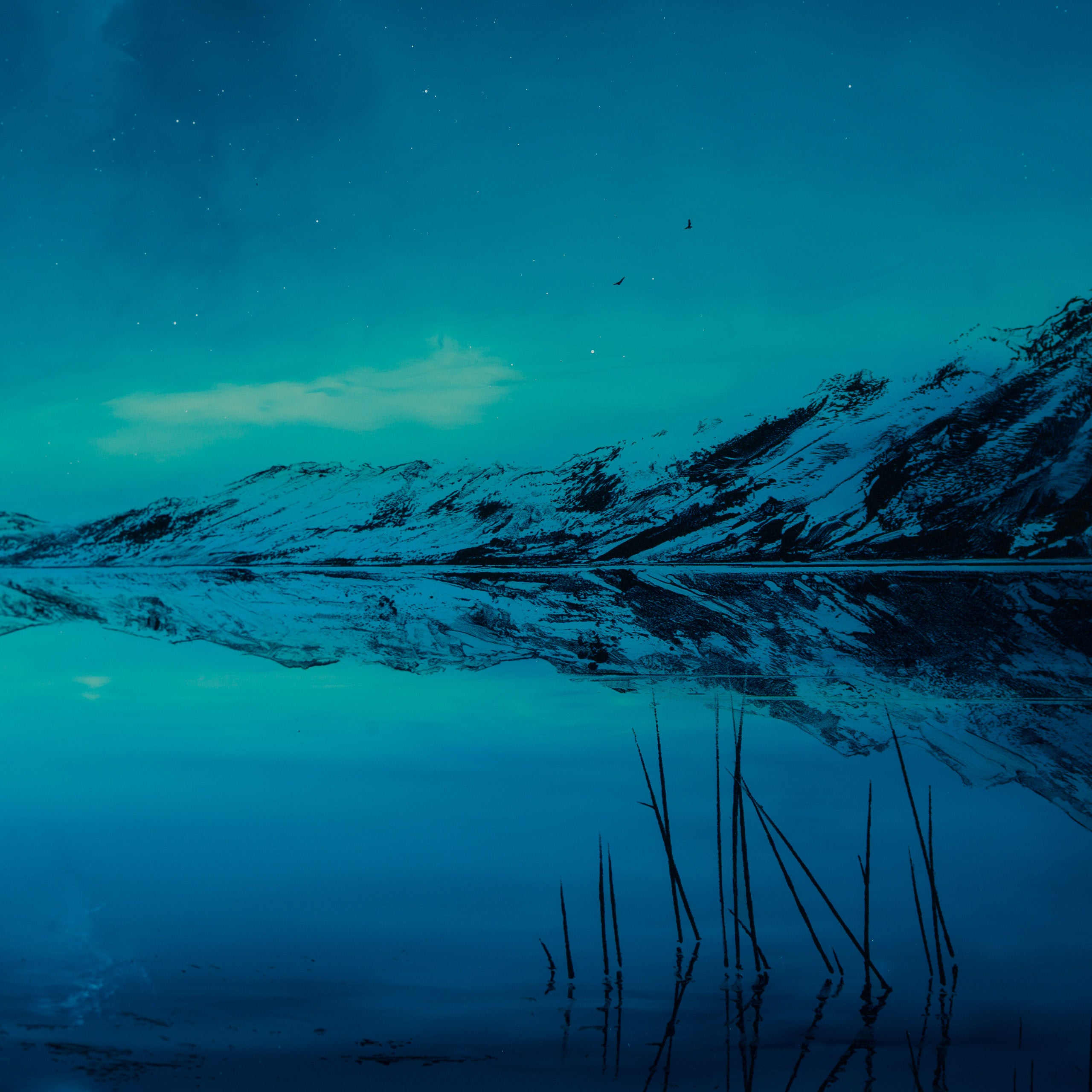 RRO ORI UNI 35981 A Tale To Be Told XI 5 