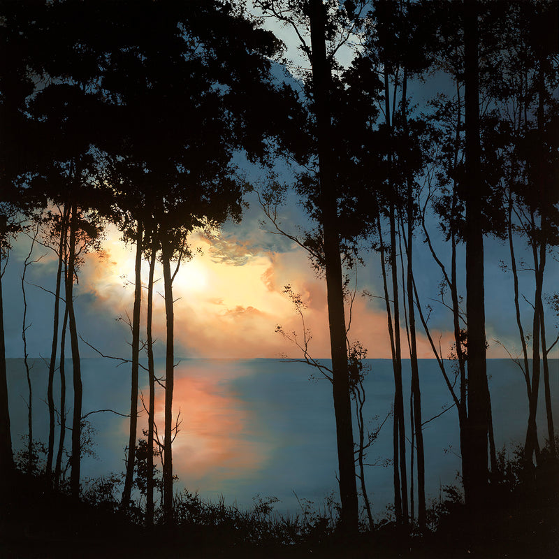 RRO SLE Finding A Way NC 