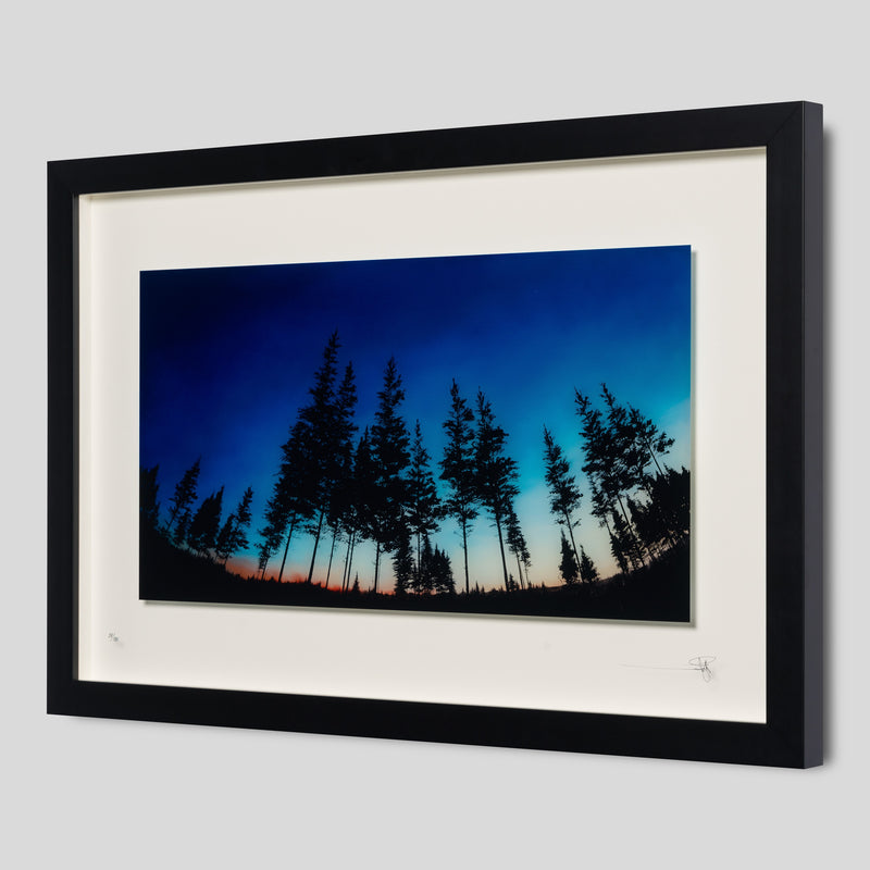 RRO SLE LAN 17596 2 Remind Me Never To Forget 