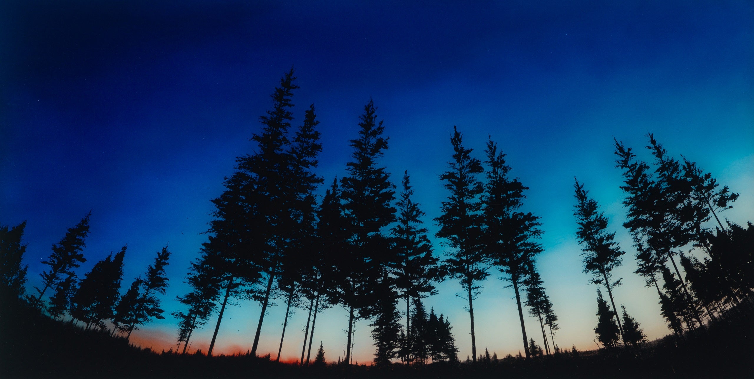 RRO SLE LAN 17596 31 Remind Me Never To Forget 