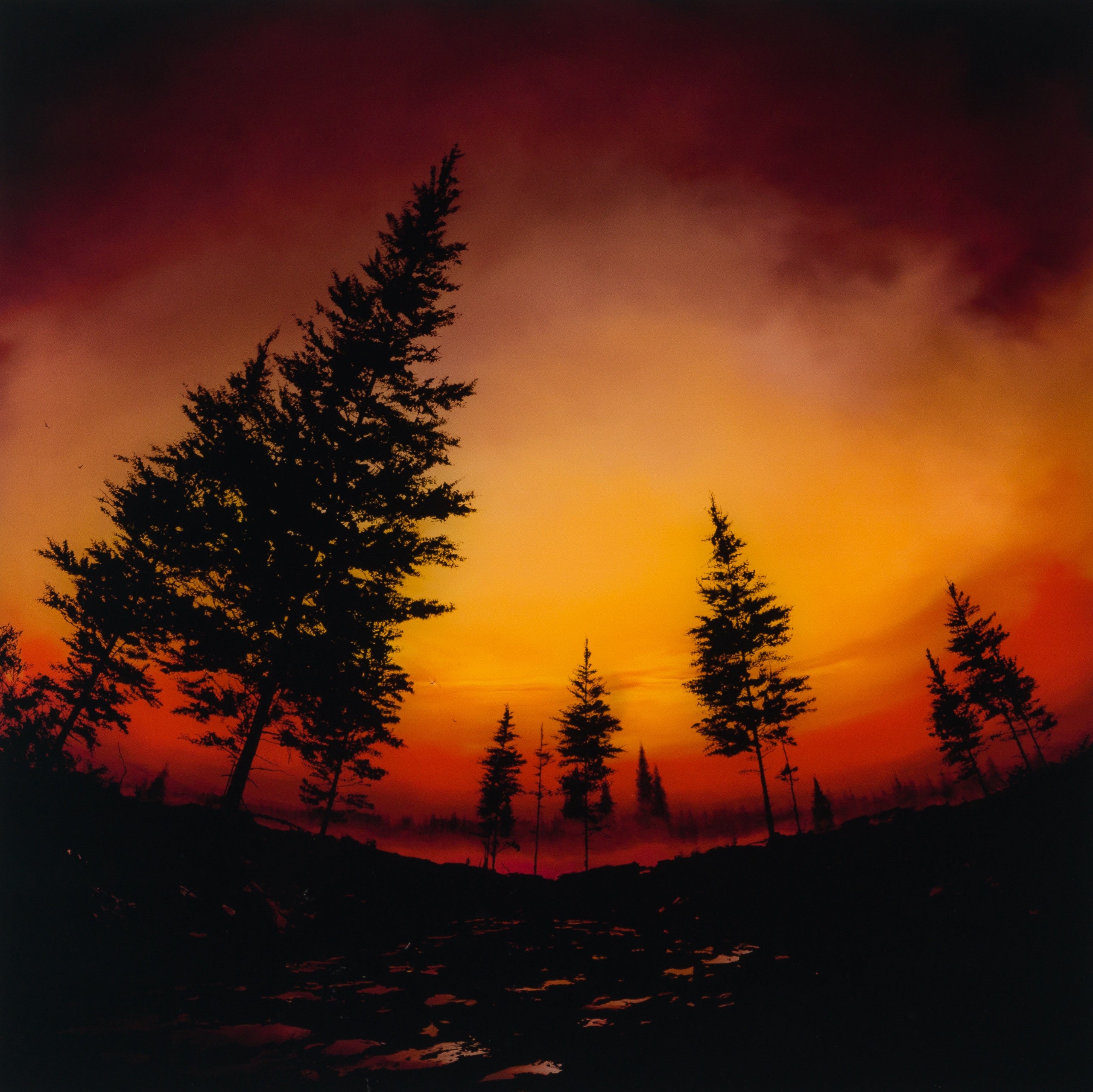 RRO SLE LAN 20101 31 Day Turns Night 