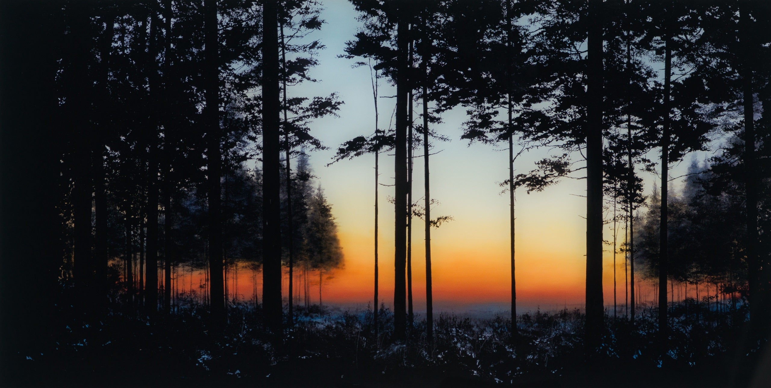 RRO SLE LAN 20103 31 Life s A Symphony 