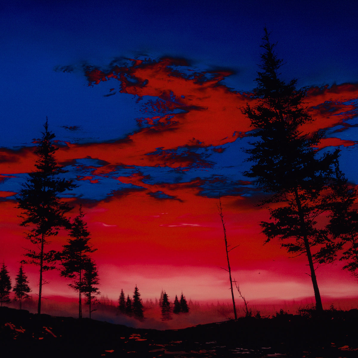 RRO SLE LAN 21486 7 Will Find You Again 