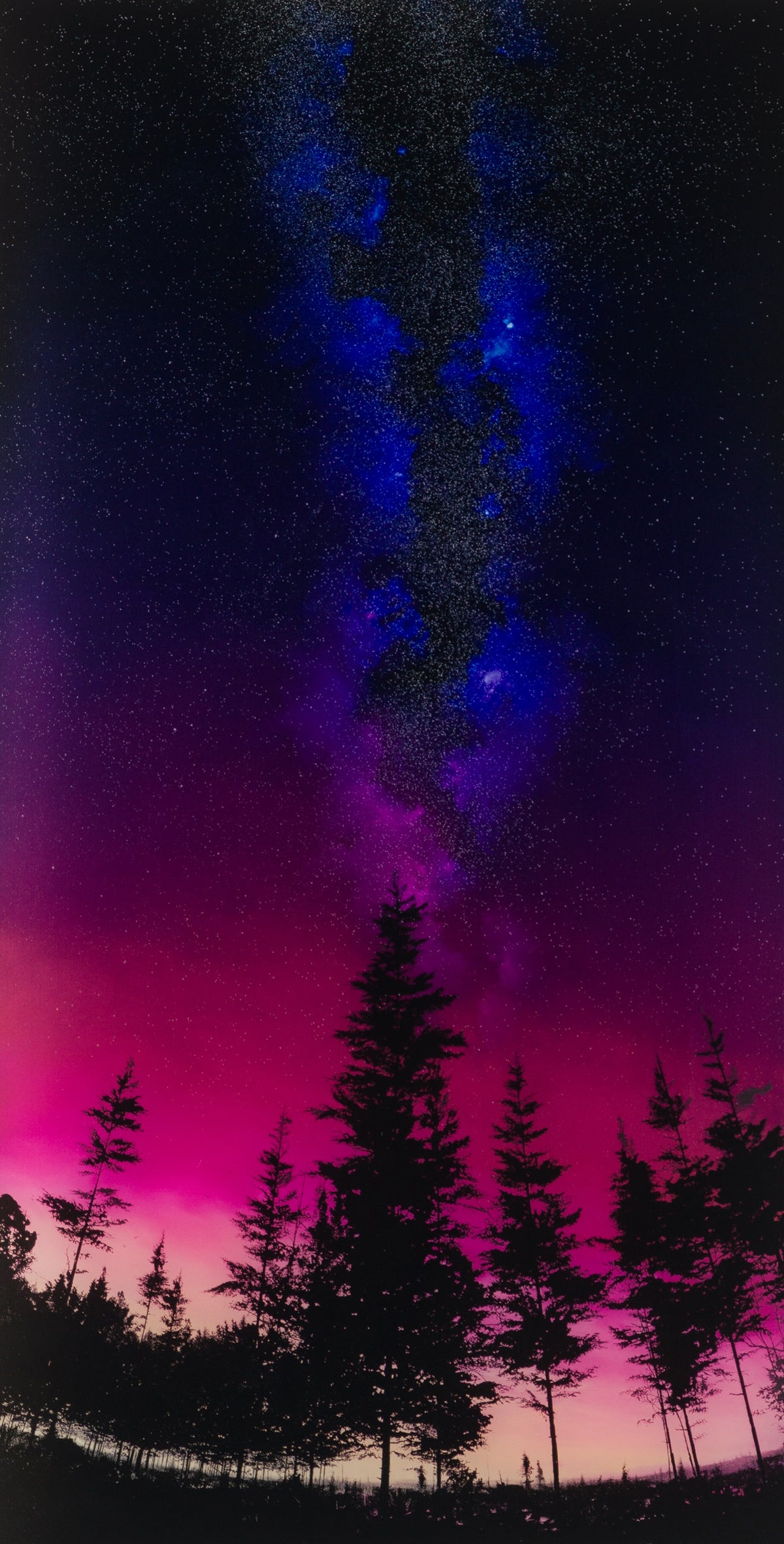 RRO SLE LAN 23213 31 Letting Go 