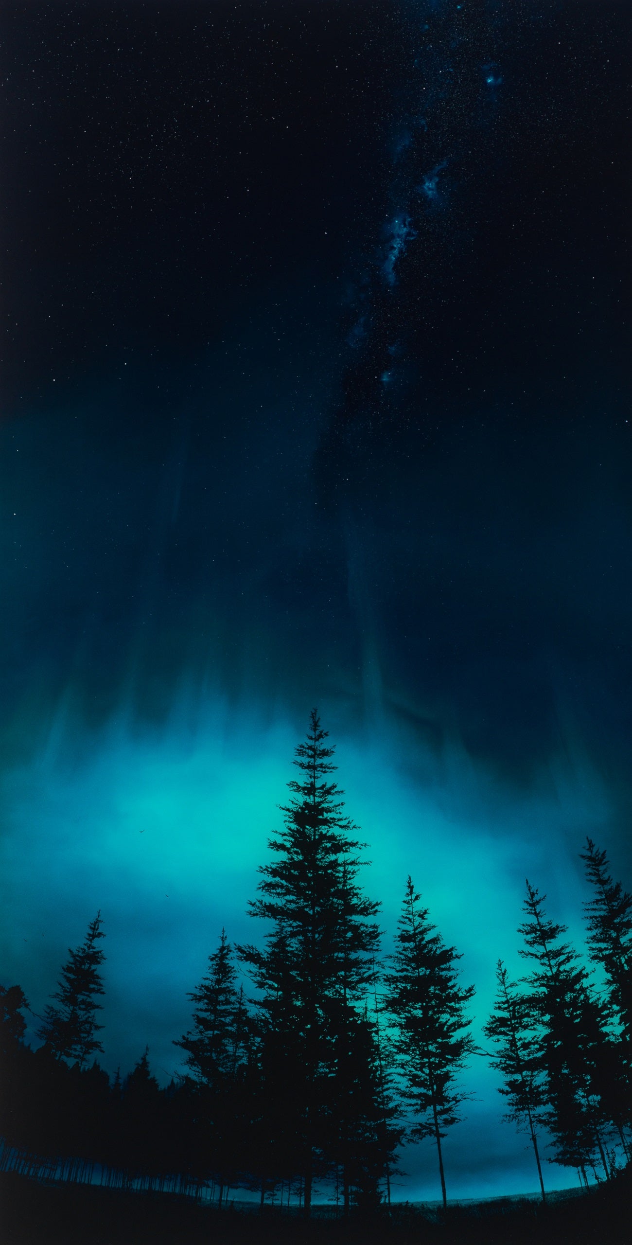 RRO SLE LAN 24156 31 Don t Give Up 