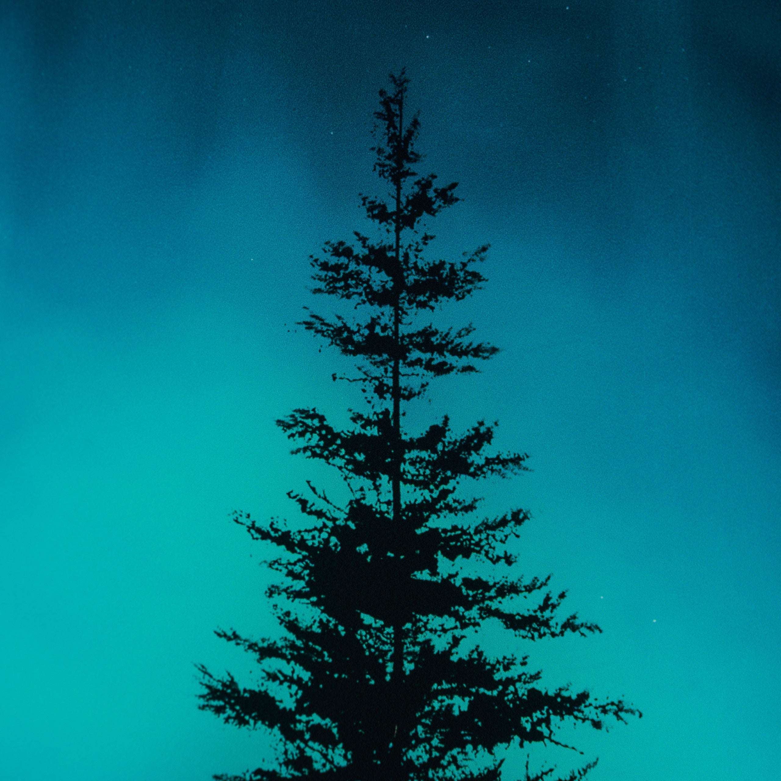 RRO SLE LAN 24156 5 Don t Give Up 