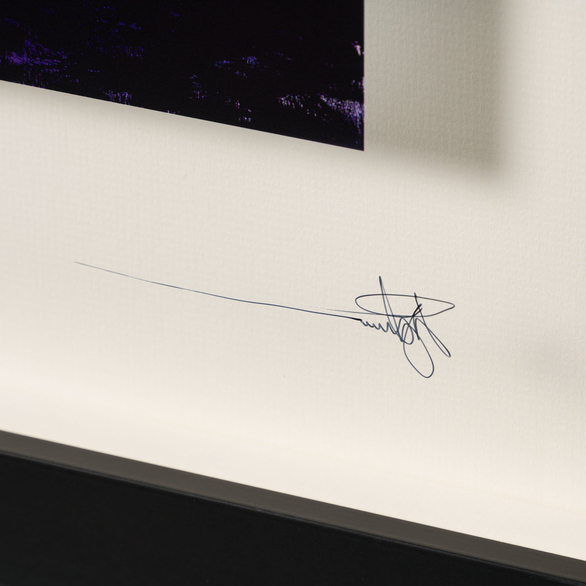 RRO SLE LAN 34329 Forever Sycamore 3 