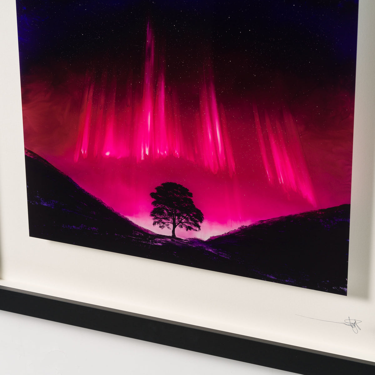 RRO SLE LAN 34329 Forever Sycamore 5 