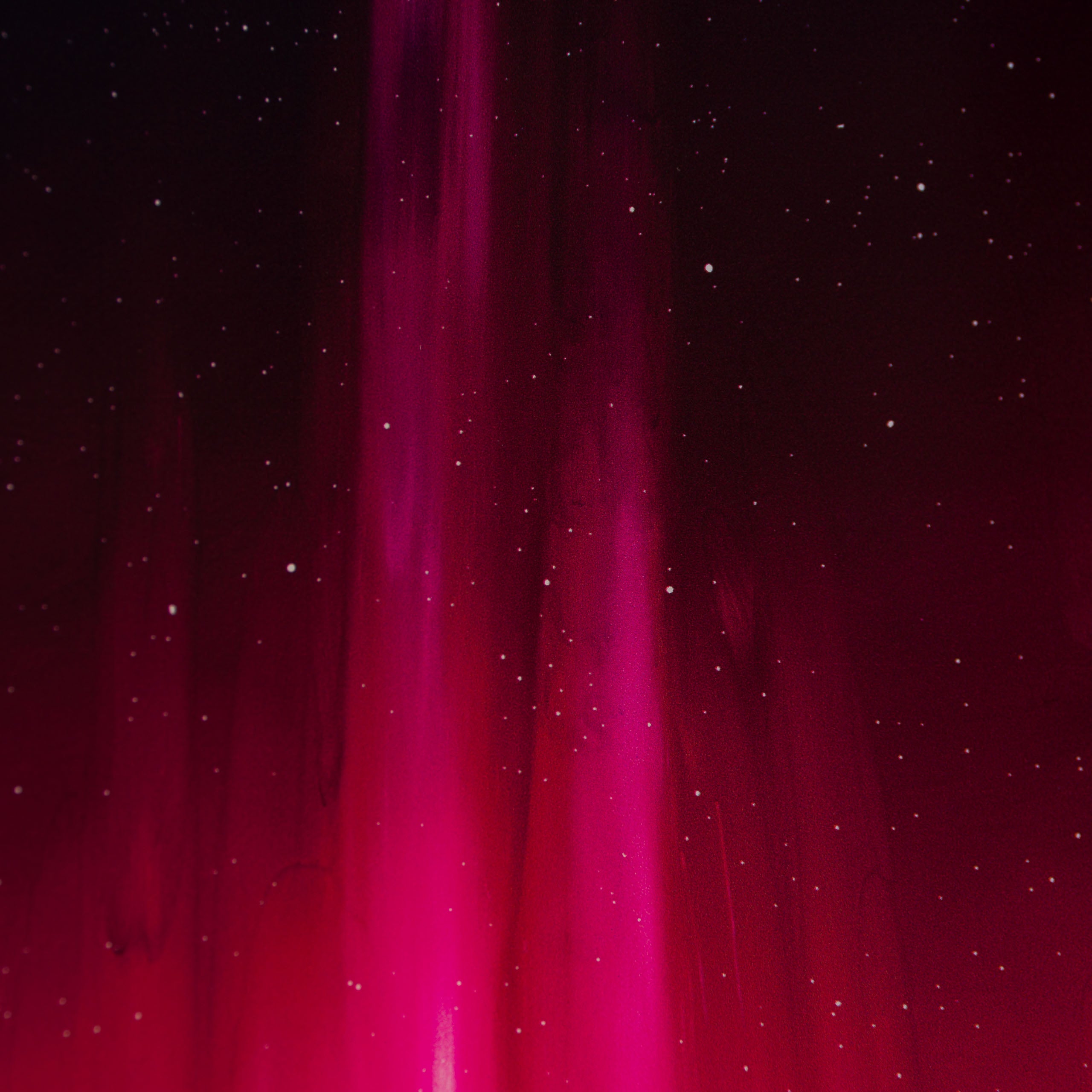 RRO SLE LAN 34329 Forever Sycamore 6 