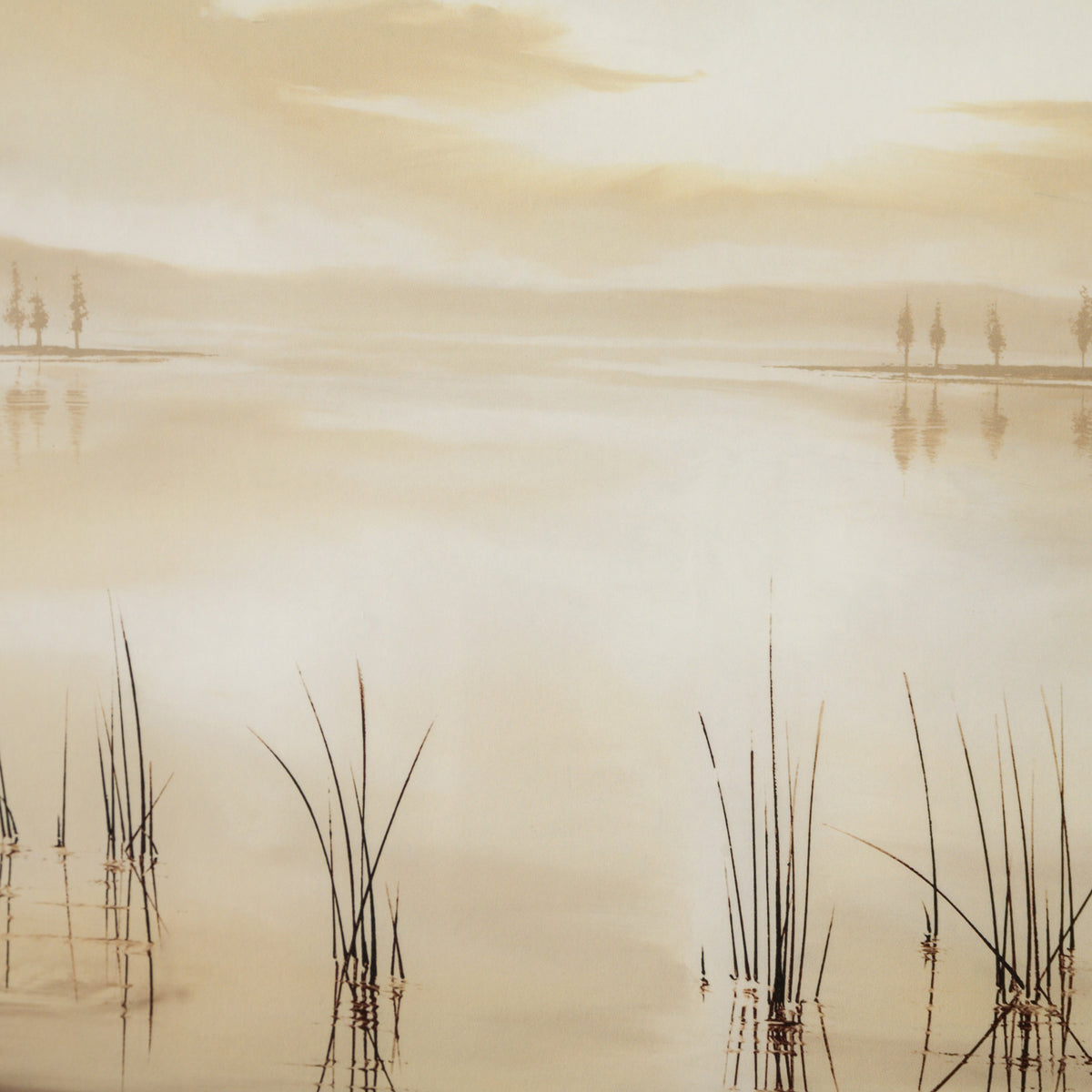 RRO SLE LAN 73830 5 Moment Of Silence 