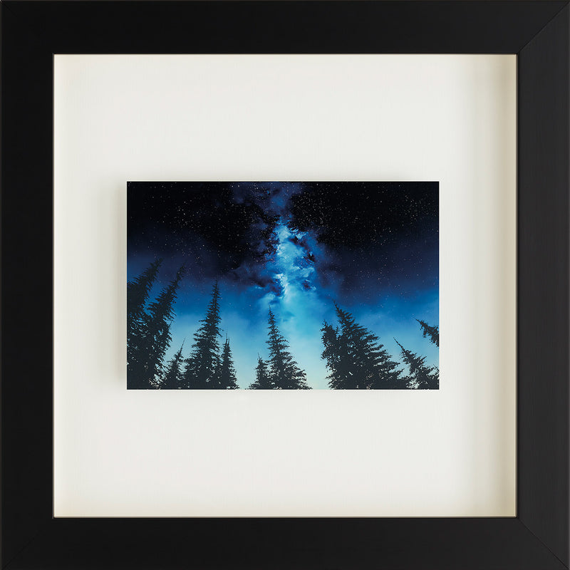 RRO SLE Lose Yourself FNC 