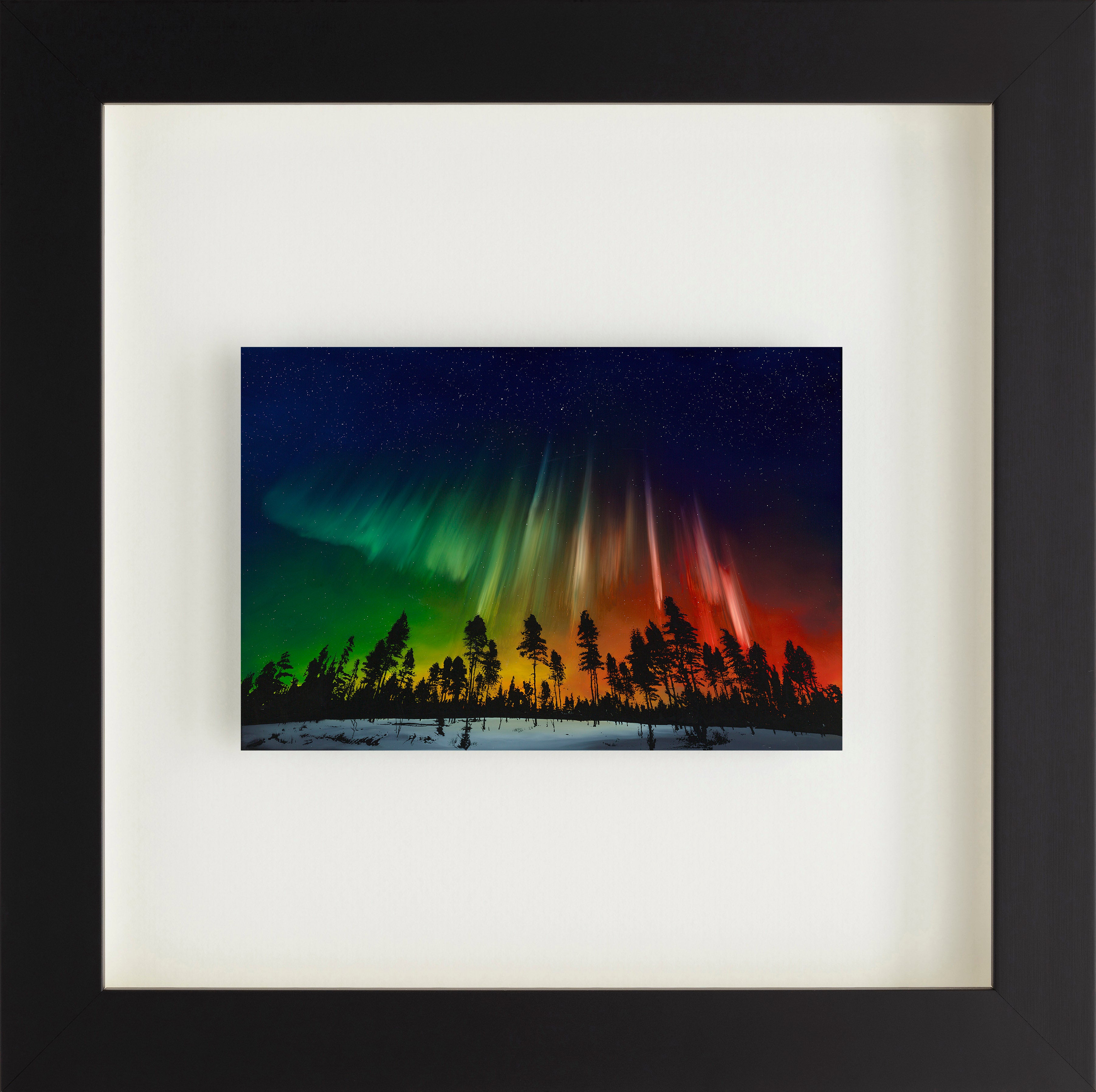 RRO%20Nature%20Awakens FNC