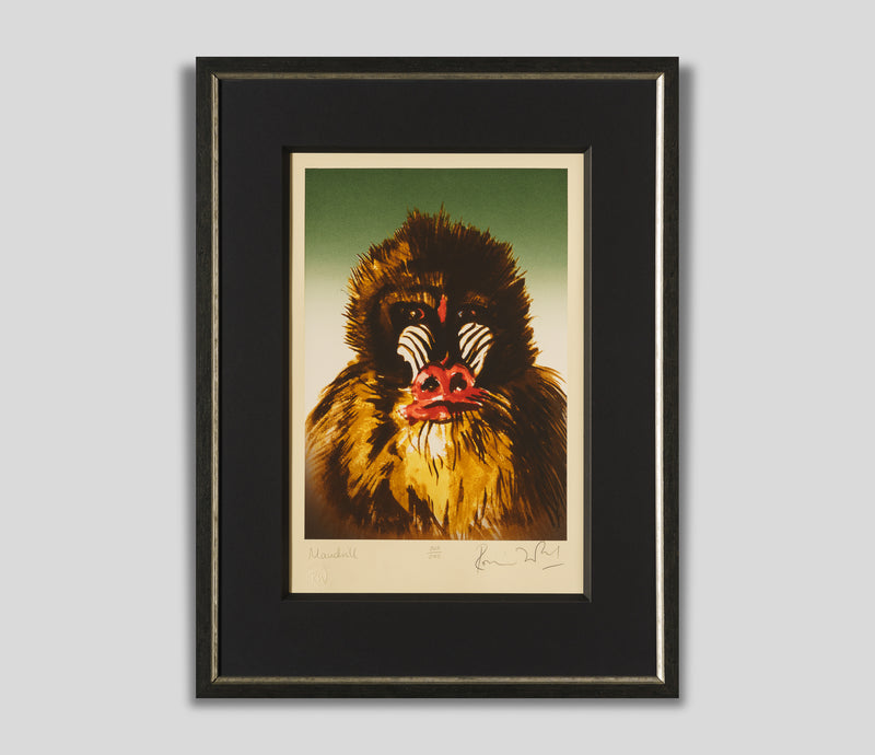 RWO SLE UNT 23301 1 Mandrill 