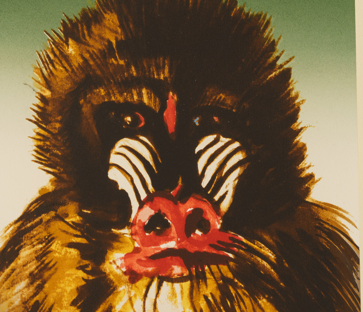 RWO SLE UNT 23301 7 Mandrill 