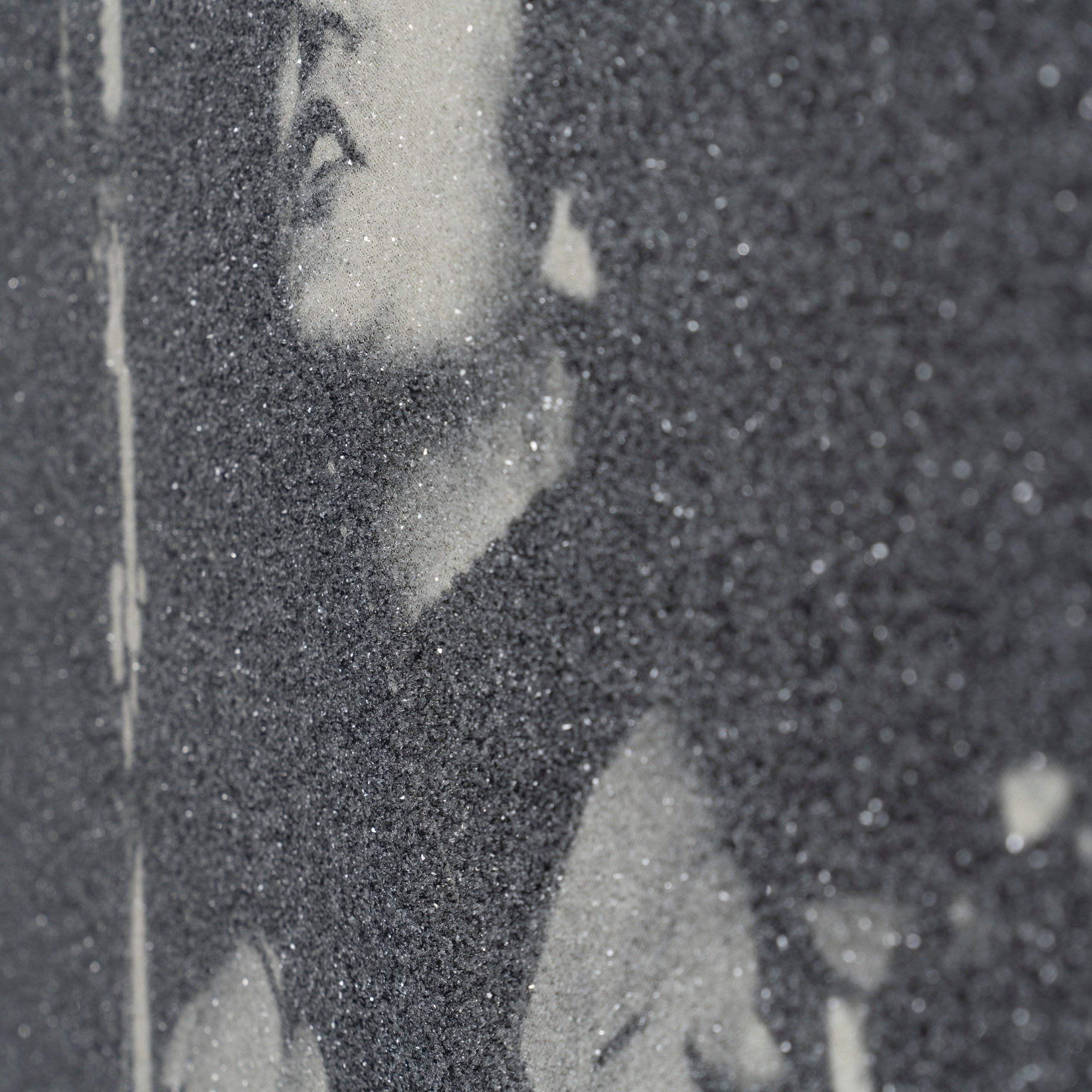 SCL SLE POR 10556 6 Lennon and McCartney 