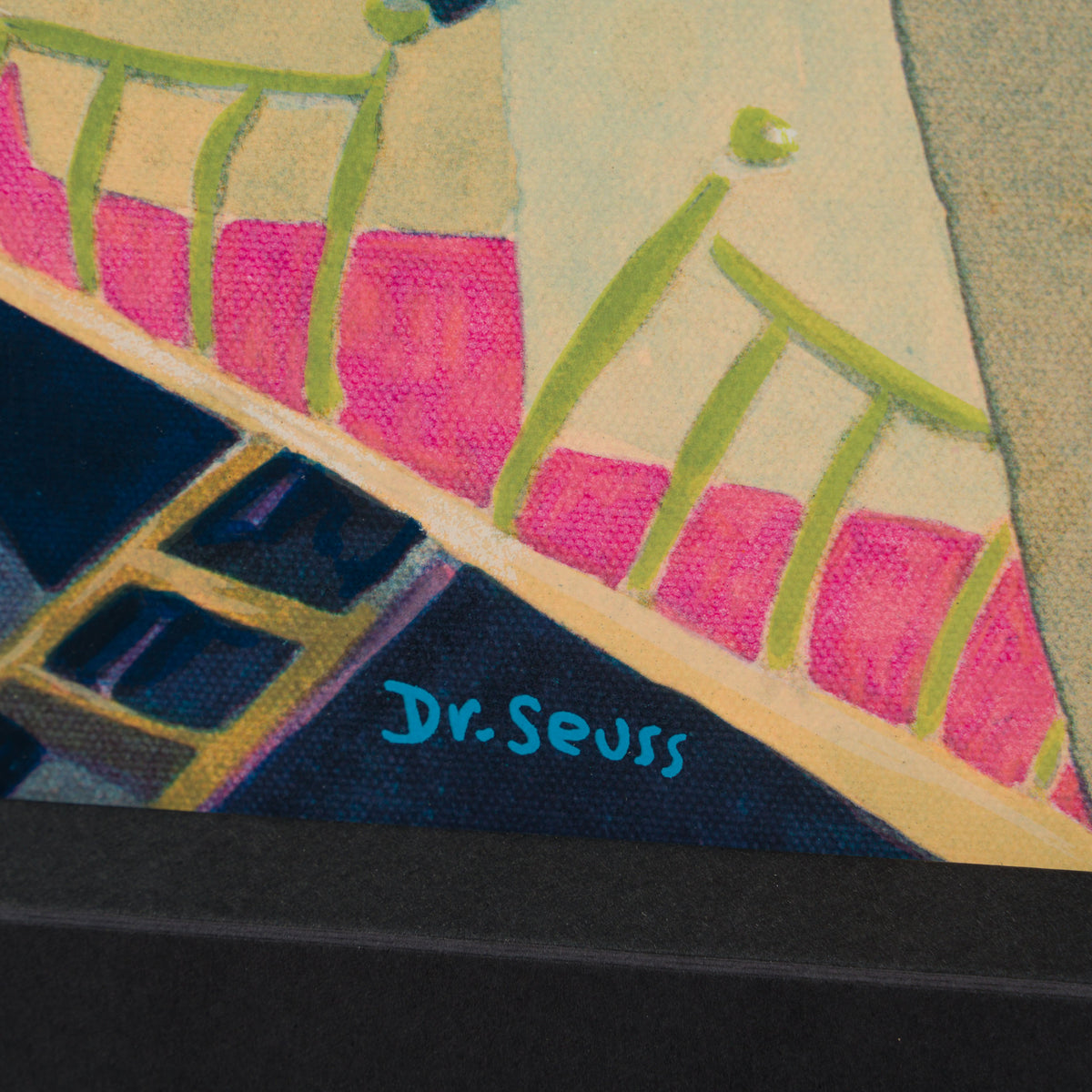 SEU Cat Detective in the wrong part of town  3 