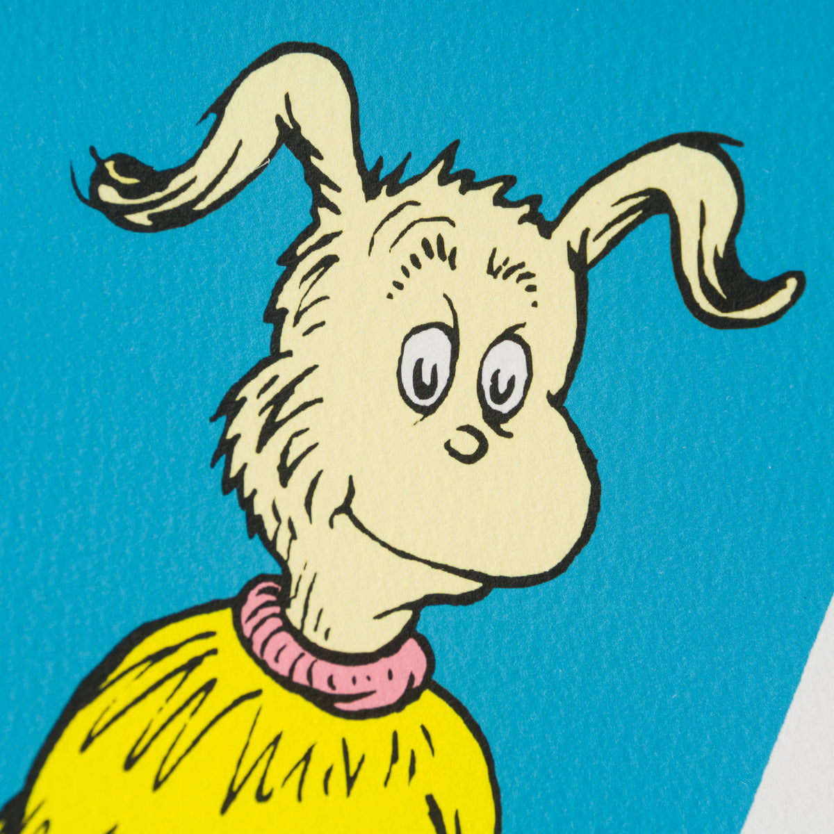 SEU Fox in Socks   Single 5 