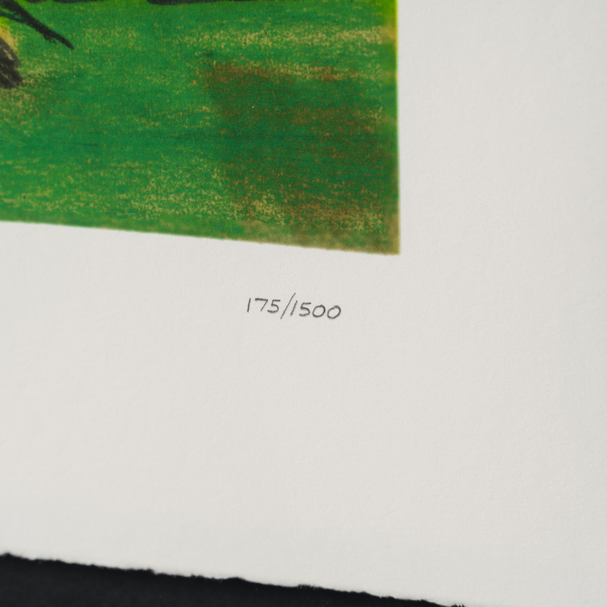 SEU Hop Pop Top   Diptych 4 