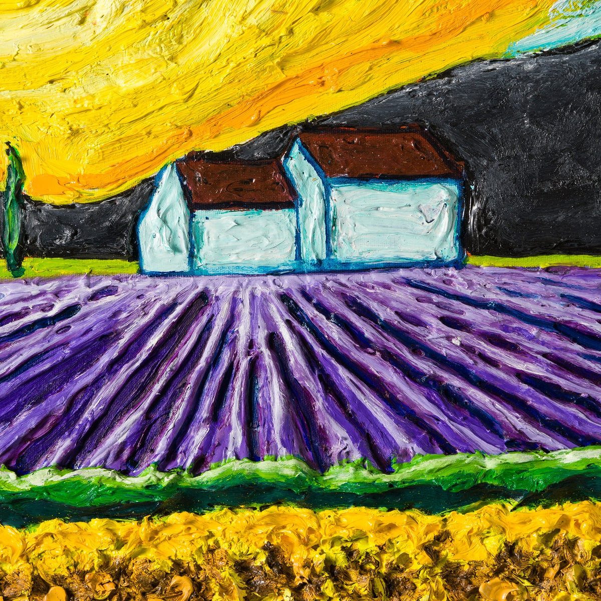 SRA ORI LAN 29491 4 Cornerfield Sunflowers 