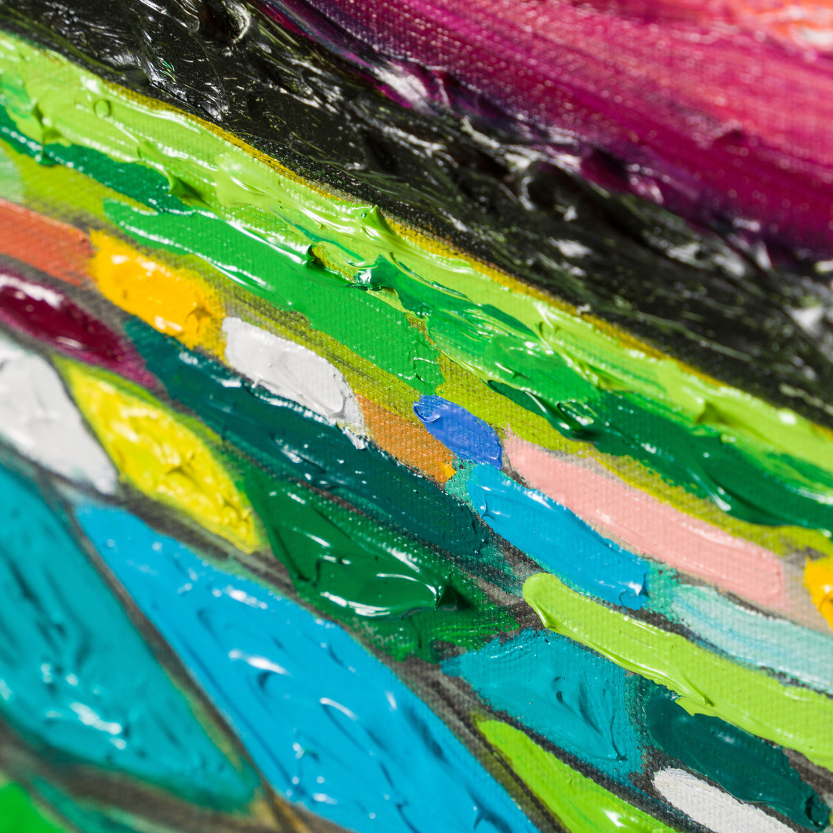 SRA ORI LAN 30476 10 Iris Field Evening Sky 