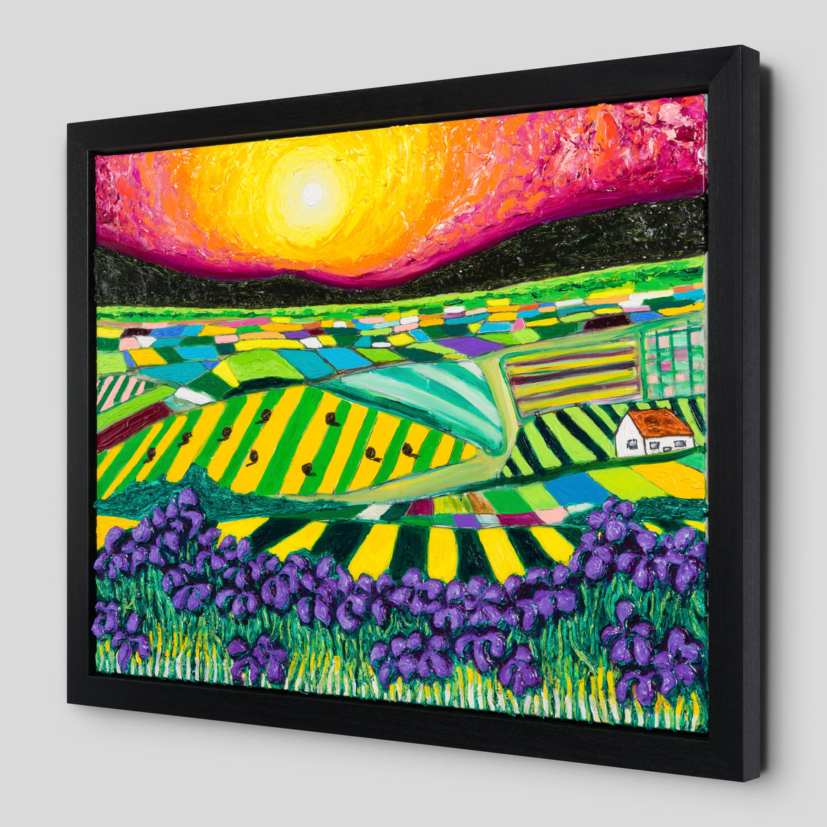 SRA ORI LAN 30476 2 Iris Field Evening Sky 