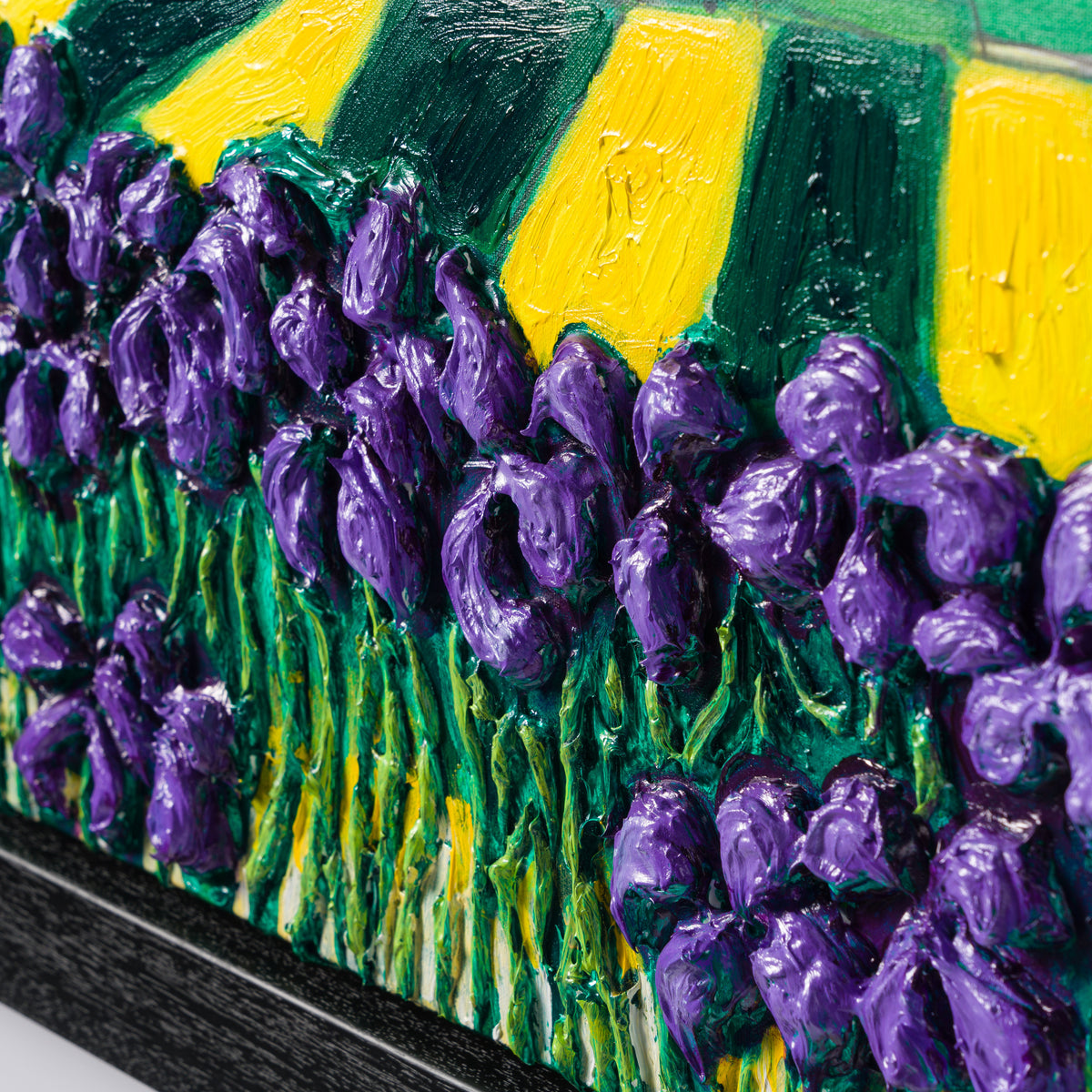 SRA ORI LAN 30476 5 Iris Field Evening Sky 