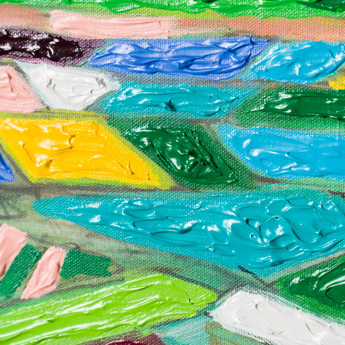 SRA ORI LAN 30476 7 Iris Field Evening Sky 