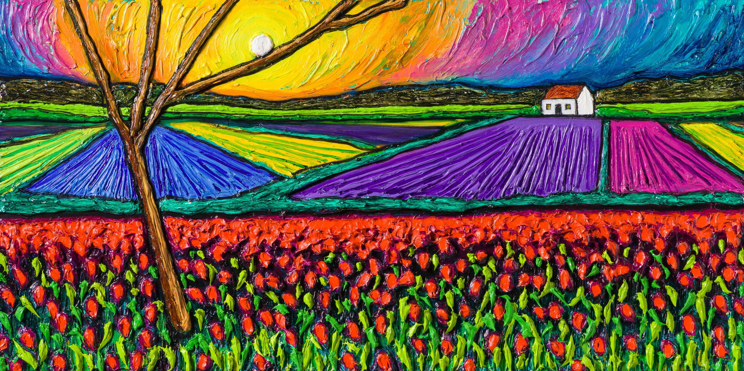 SRA ORI LAN 31979 The Colours At Dawn 31 