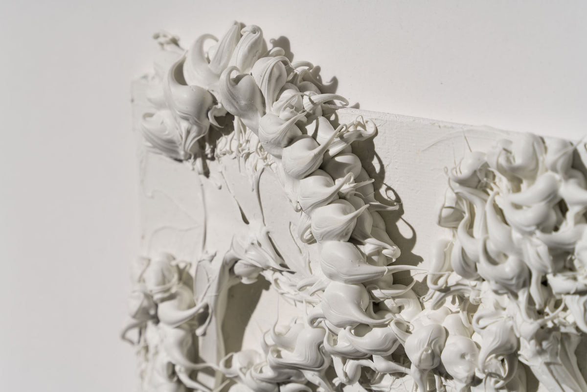 SRA ORI LAN 33608 Patience 6 