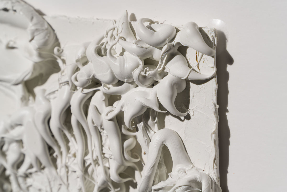 SRA ORI LAN 33609 Solidarity 6 