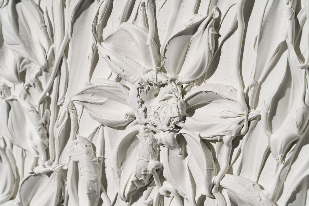 SRA ORI LAN 33614 Wonder 4 