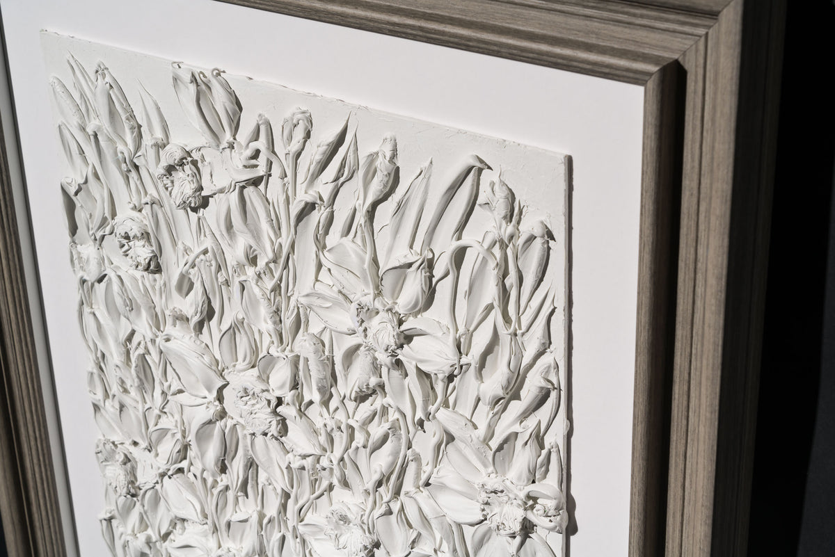 SRA ORI LAN 33614 Wonder 6 