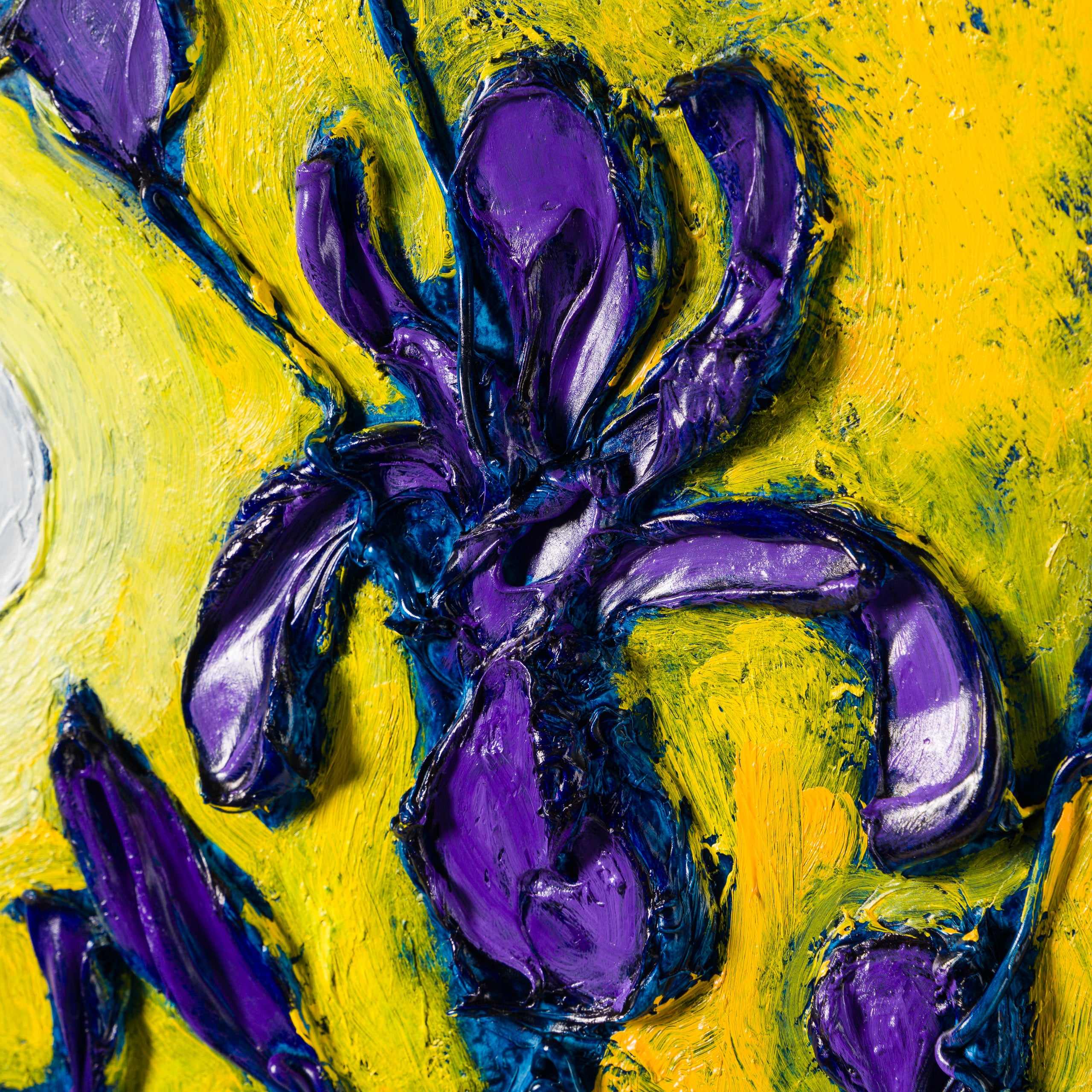 SRA ORI LAN 34892 Dancing Iris 4 