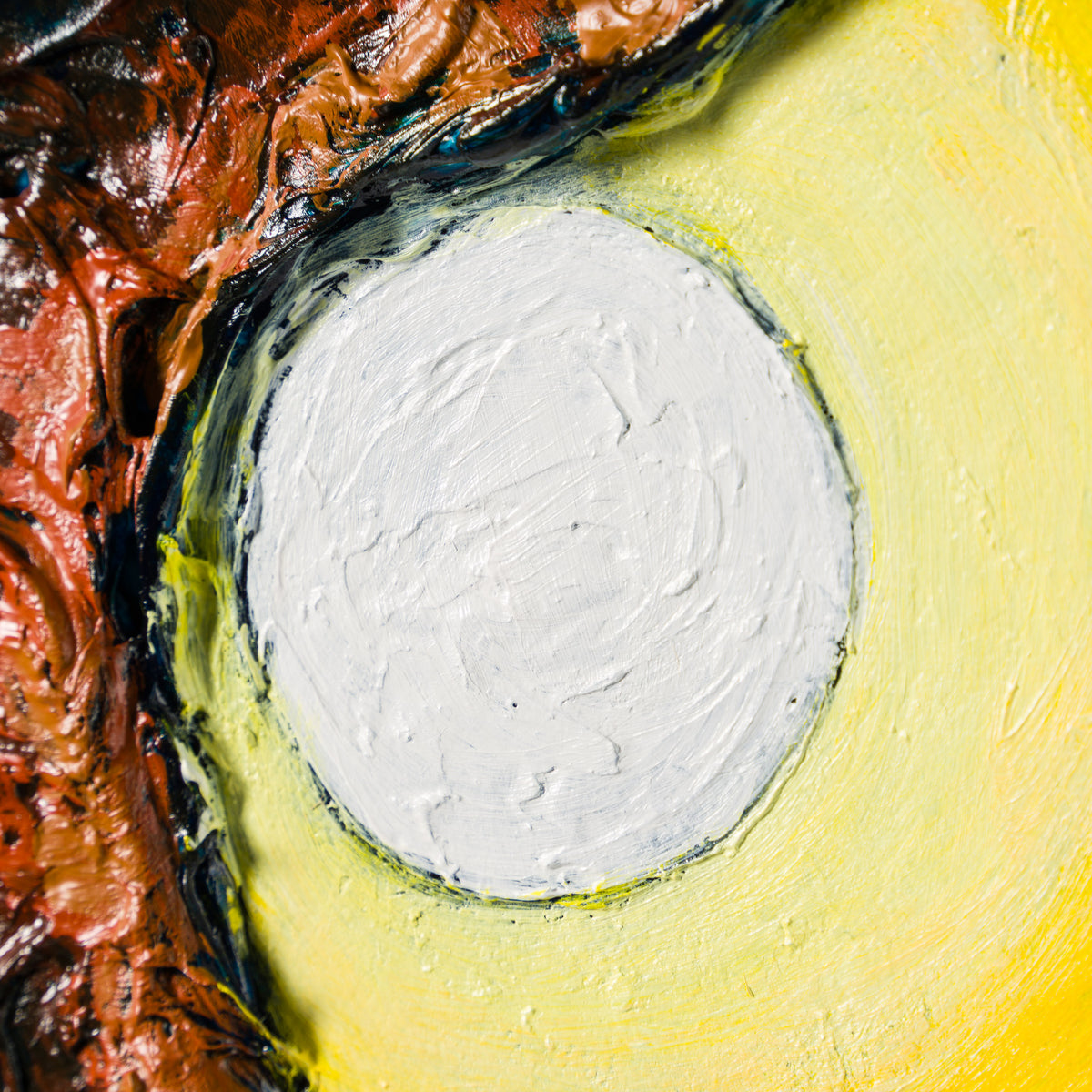 SRA ORI LAN 34895 Sunshine Wisteria 6 