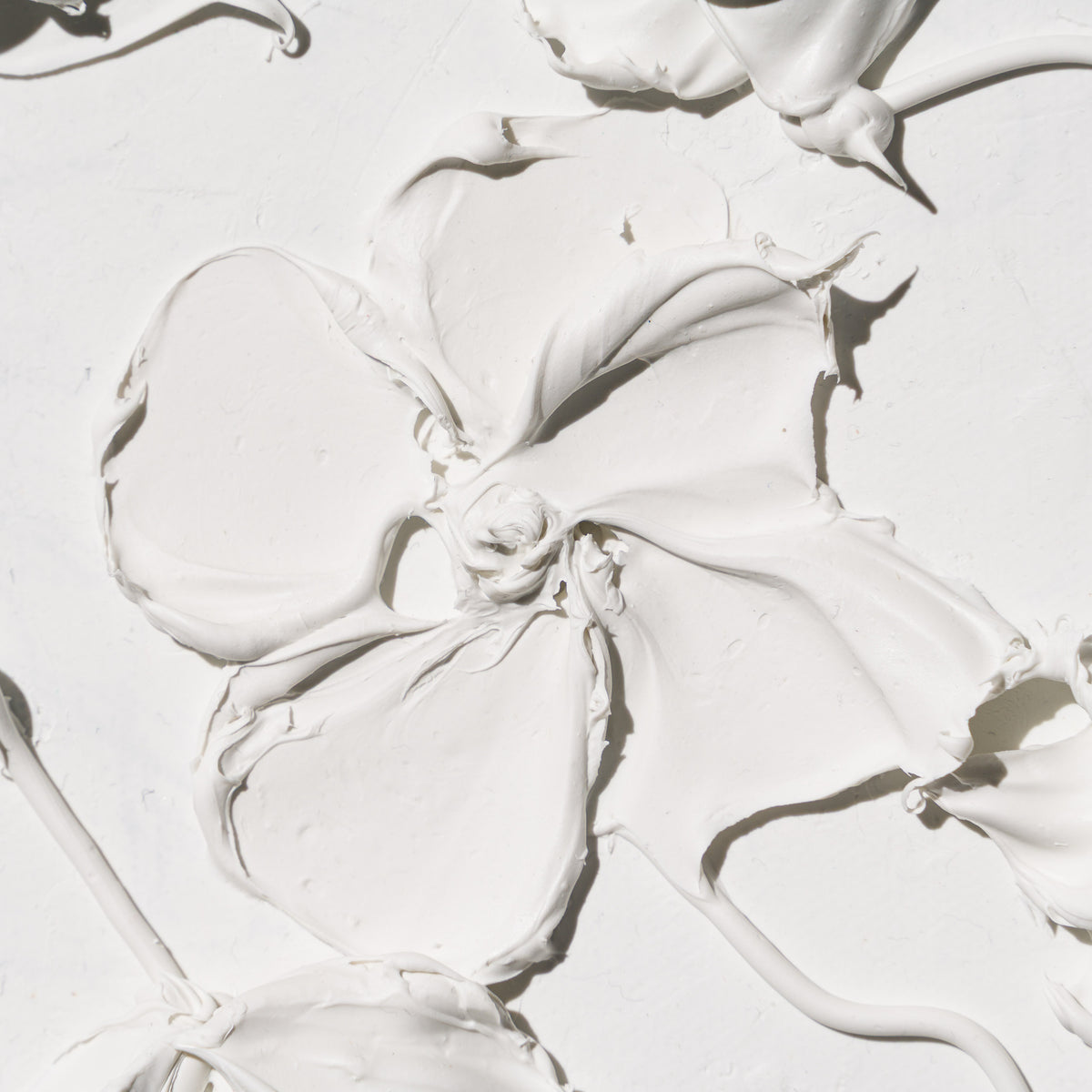 SRA ORI LAN 35856 Bloom 3 