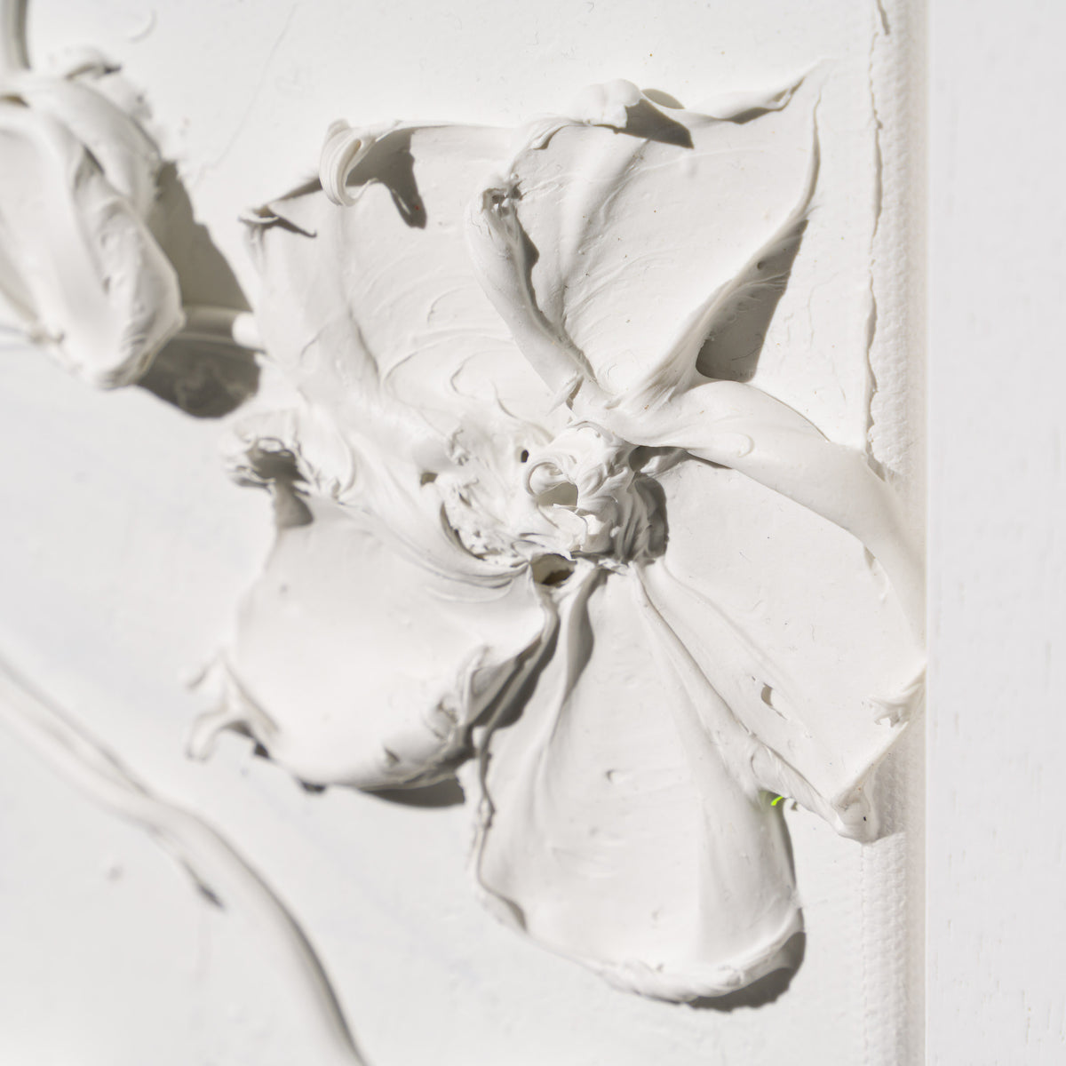 SRA ORI LAN 35856 Bloom 6 