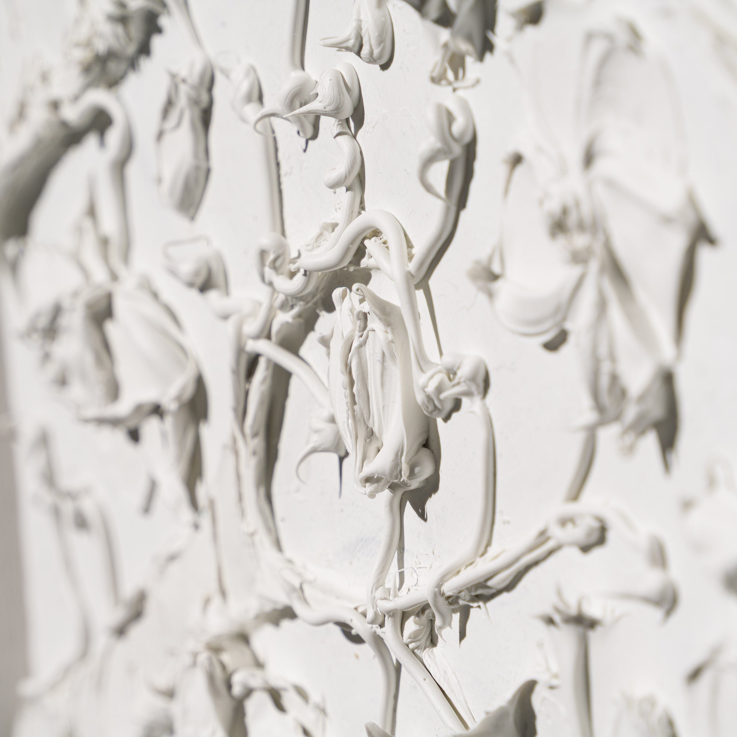 SRA ORI LAN 35856 Bloom 7 