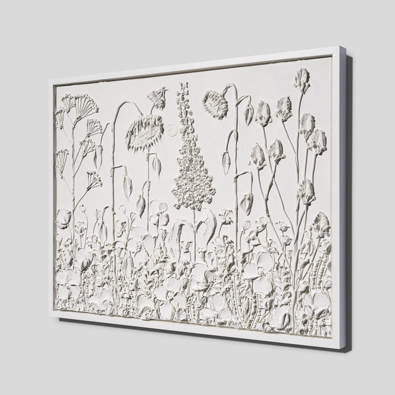 SRA ORI LAN 35861 Honesty 2 