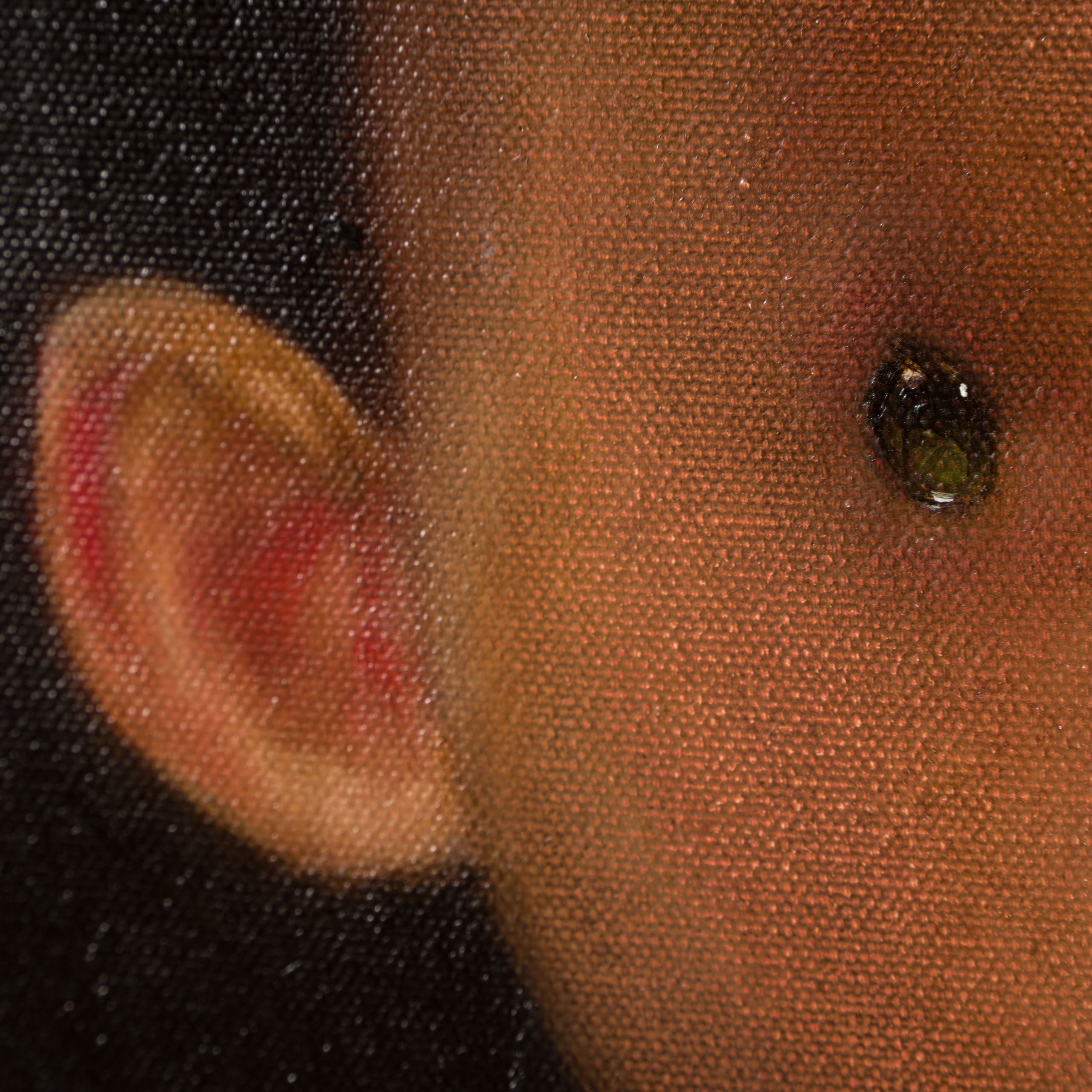 SRS ORI POR 29851 5 Rudy 