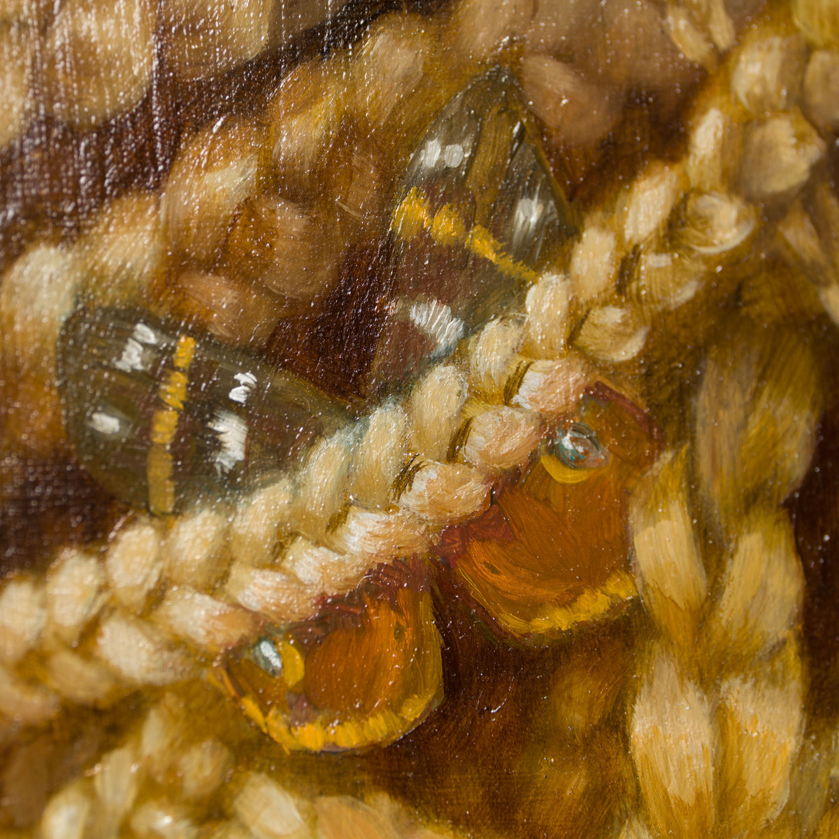 SRS ORI POR 29857 10 Willow 