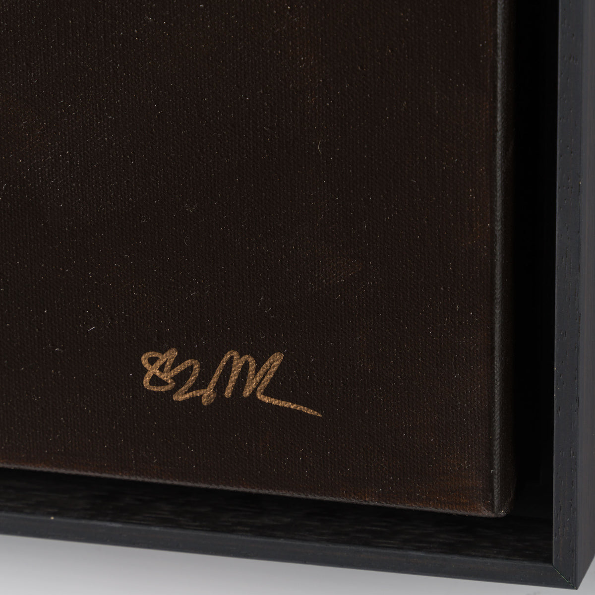 SRS ORI POR 30931 Gene 3 