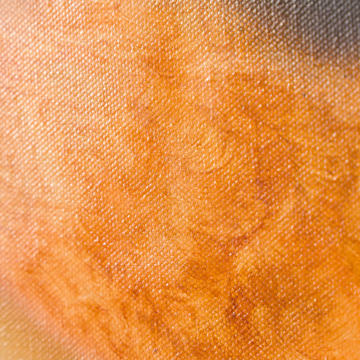 SRS ORI POR 30931 Gene 6 