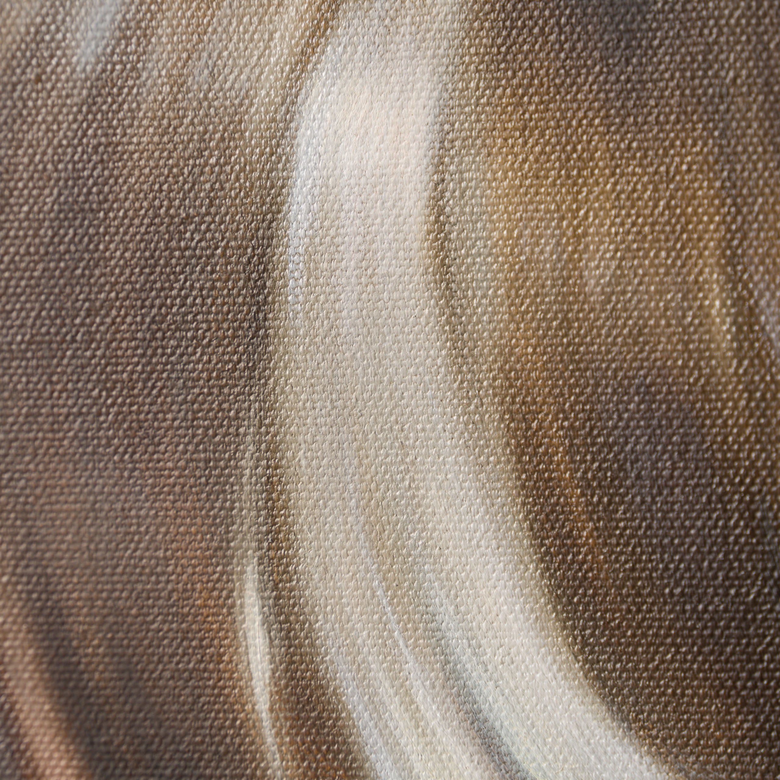 SRS ORI POR 30941 Reach 6 