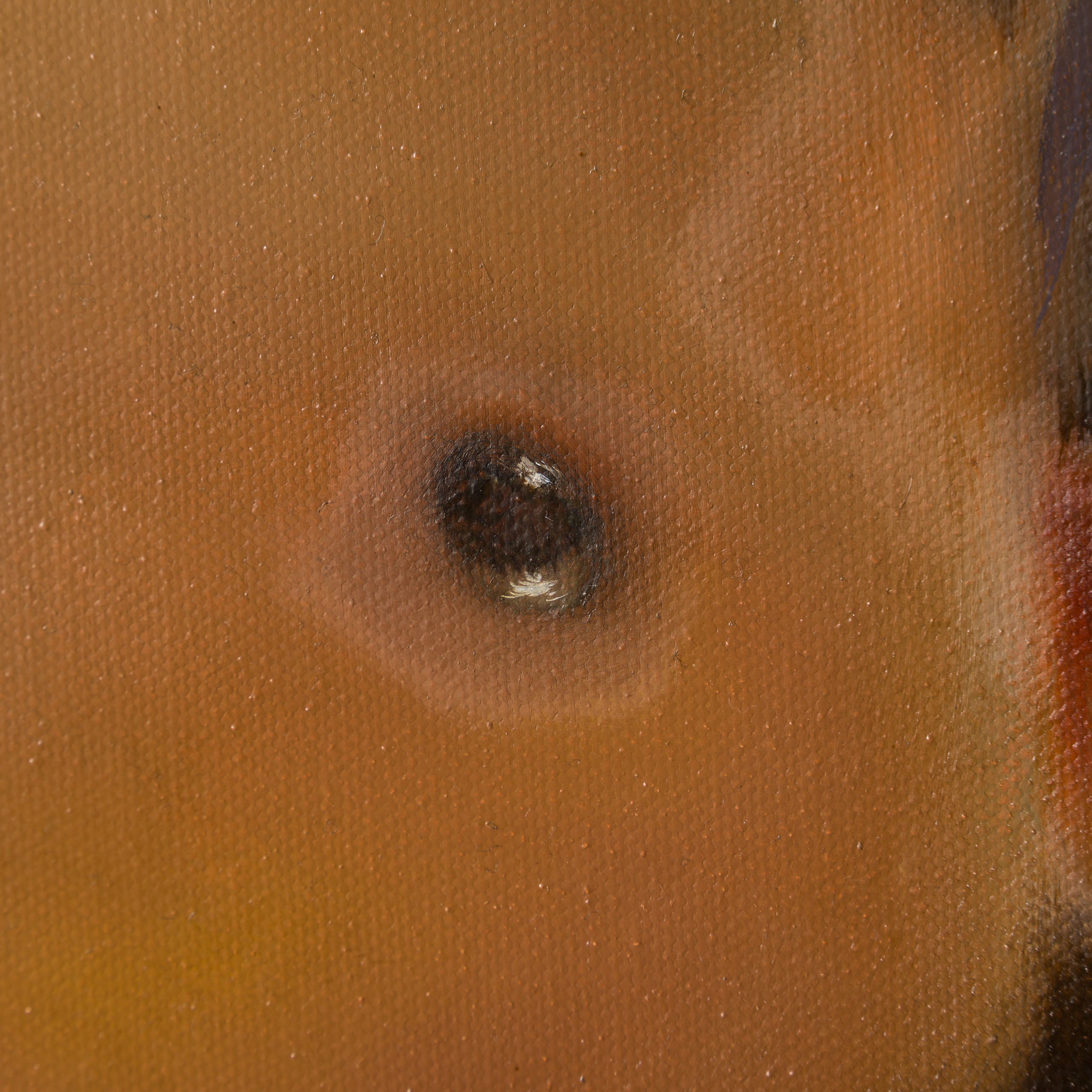 SRS ORI POR 30950 Lupita 5 