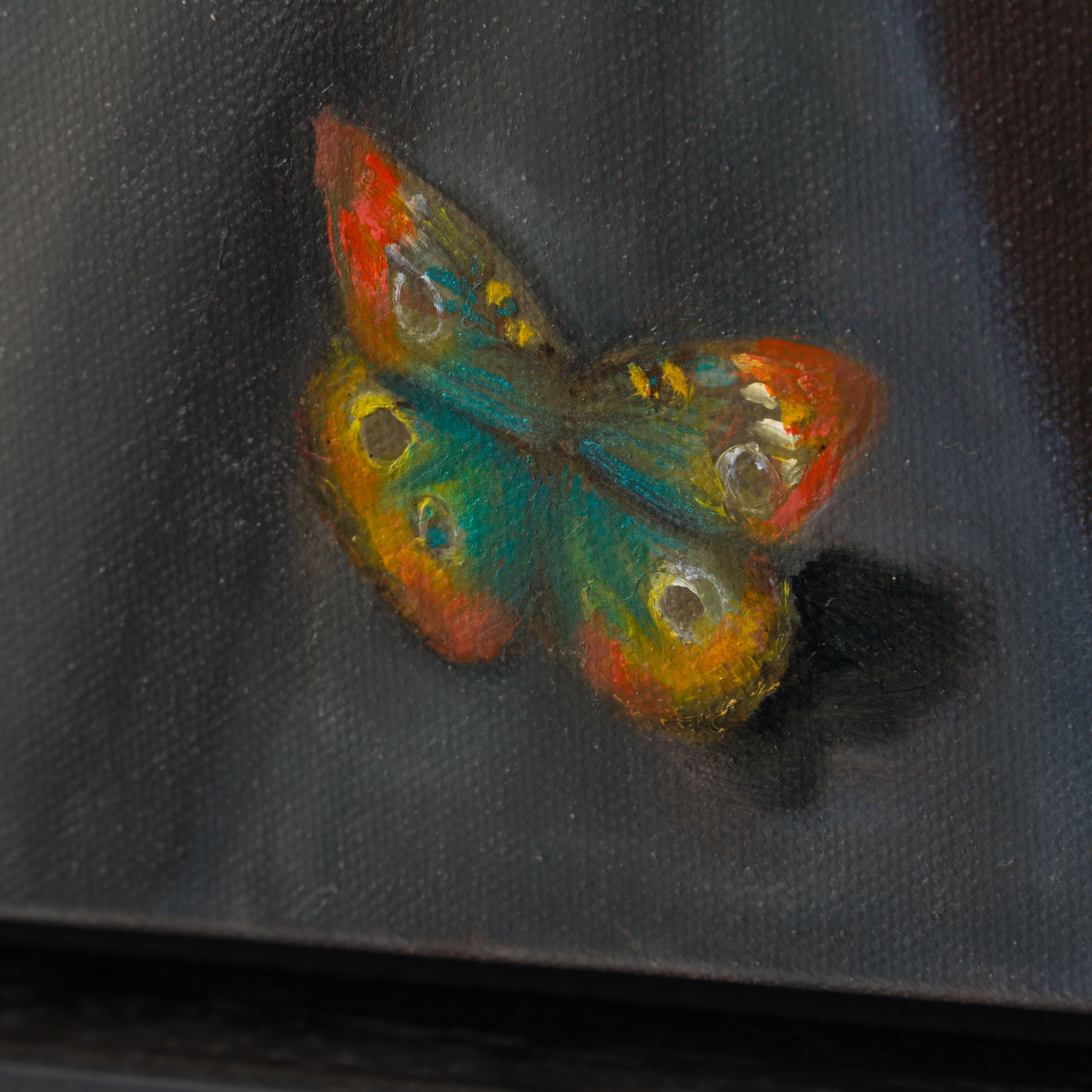 SRS ORI POR 30952 Farasha 5 