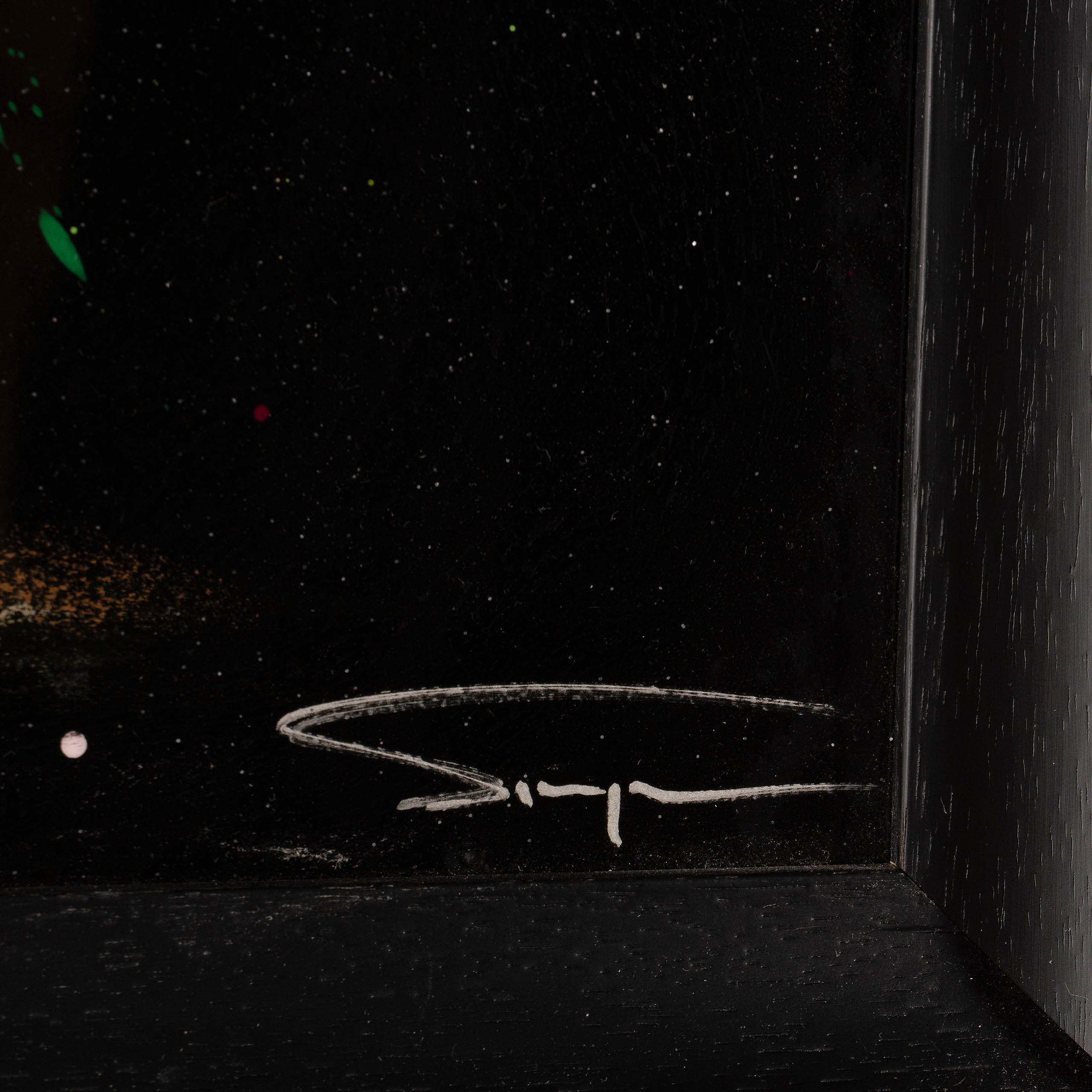 SSI ORI LAN 17461 6 Timeless Beauty II 