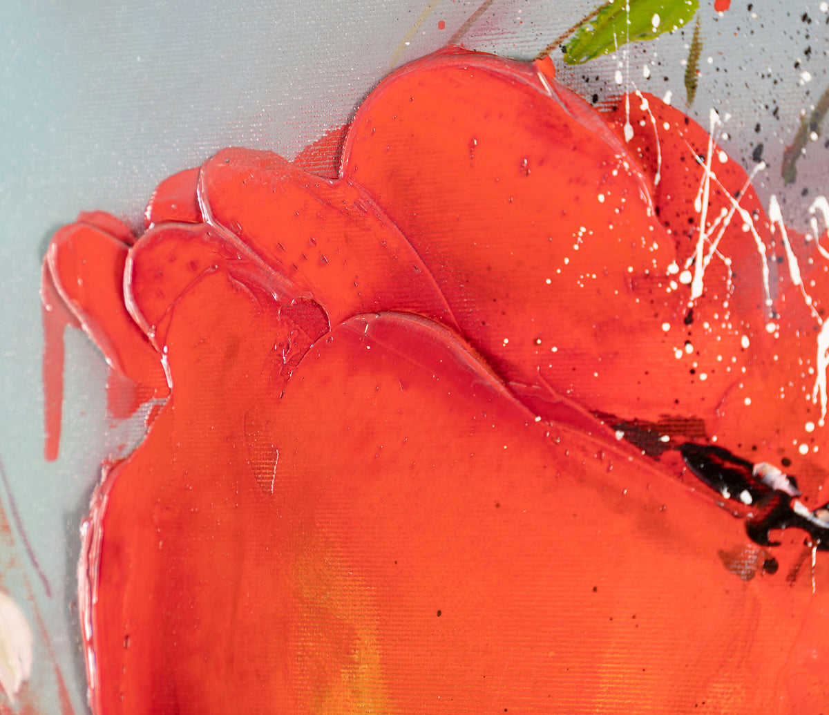 SSI ORI LAN 26440 4 Cordialis II 