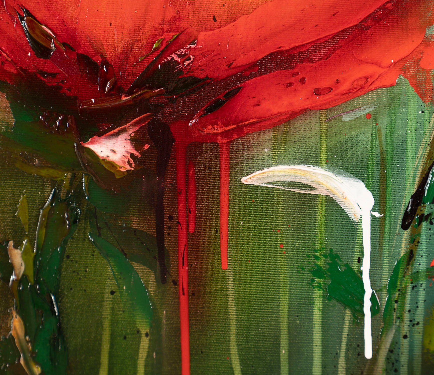 SSI ORI LAN 26440 5 Cordialis II 